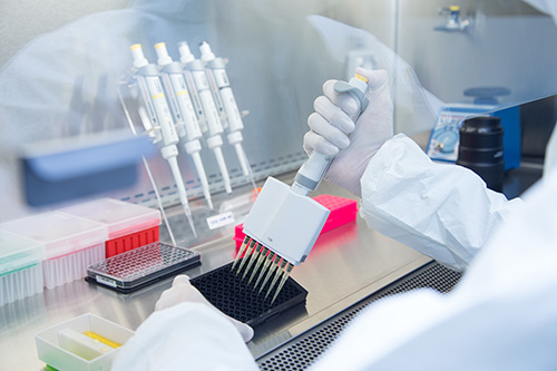 Biosafety cabinet certification, NSF 49 testing, HEPA integrity testing, and chemical fume hood face velocity verification